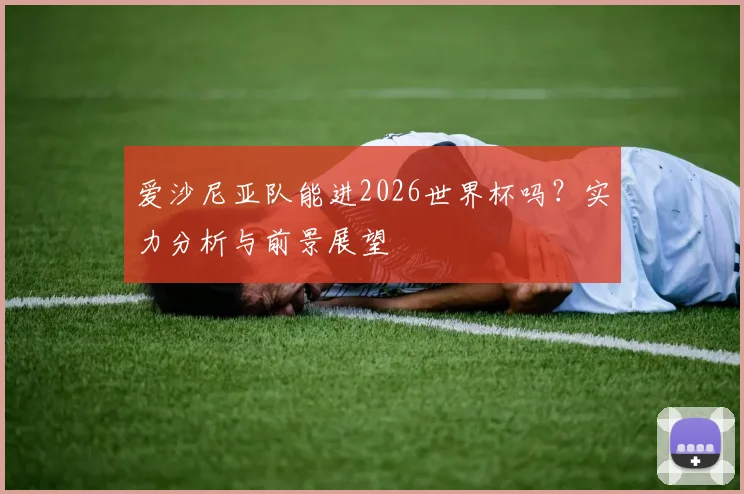 爱沙尼亚队能进2026世界杯吗?实力分析与前景展望