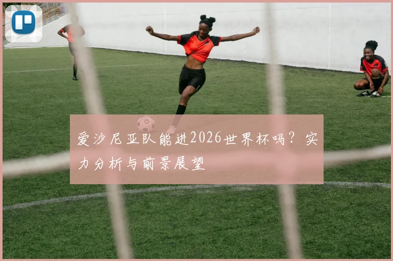 爱沙尼亚队能进2026世界杯吗?实力分析与前景展望