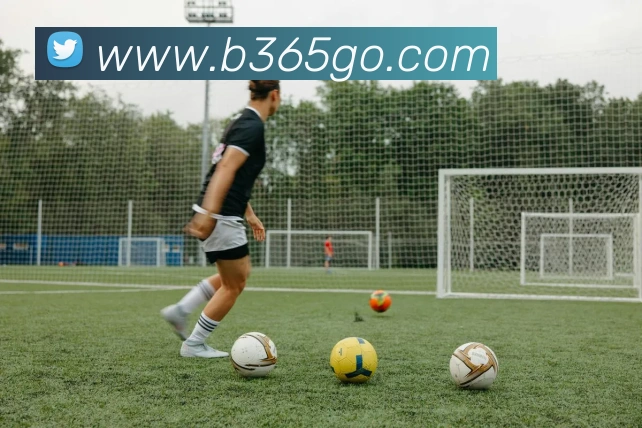 多终端兼容
